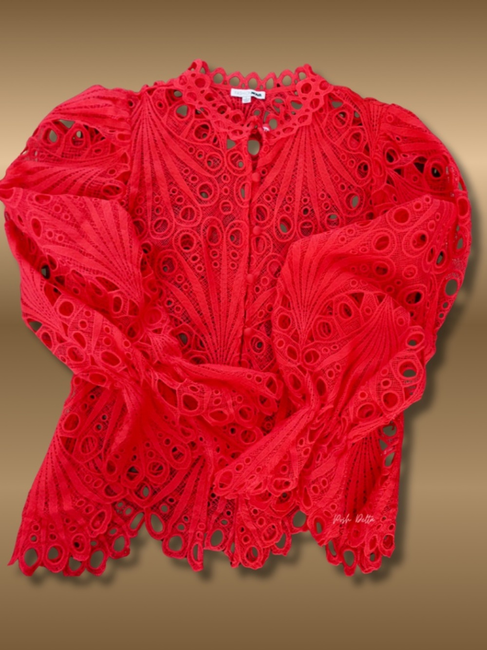 Red Intricate Lace Pattern Blouse